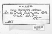 Image Associated With the Occurence